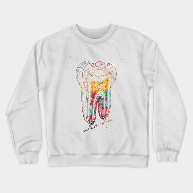 Human tooth structure Crewneck Sweatshirt by erzebeth